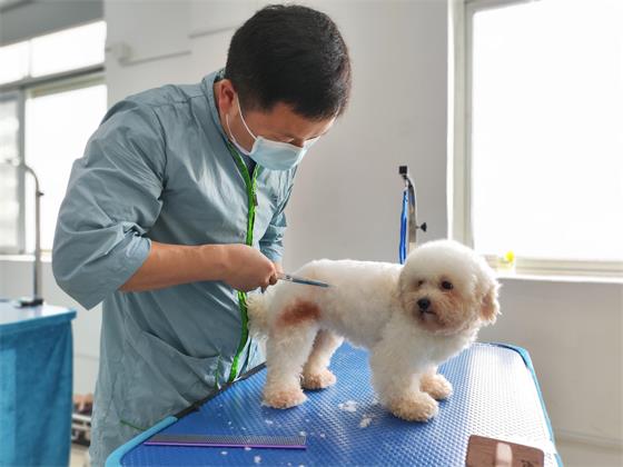 1750499502833403.jpg 4a506877516ca1467b6f9c6ba6de1ca9.jpg