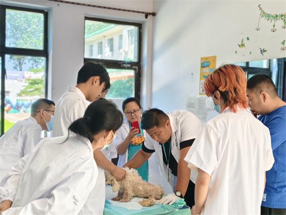 1750755667491673.jpg df2ae838-7f02-46a6-aedd-9eabf447214d.jpg