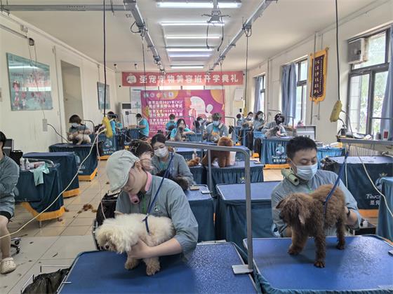 1751103476346375.jpg 93ad30187fcd10fec50f1eee5d2b394e_compress.jpg