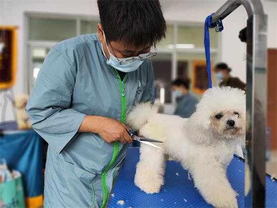 1753523532306633.jpg IMG_20250725_162418(1).jpg