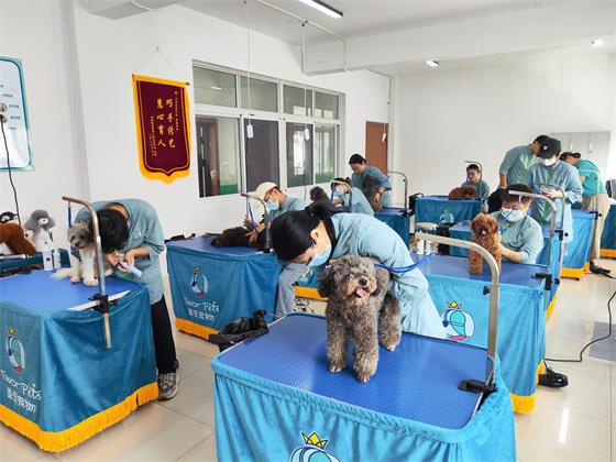 1754388212283751.jpg a5943f279faba532c38478ecdc8eb792.jpg