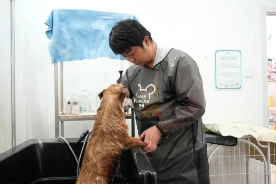 1754537823920277.jpg 640.jpg