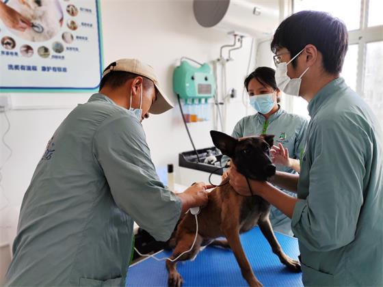 1754730370839342.jpg e737a8e76ab21bb264892a00ae6c4fed.jpg