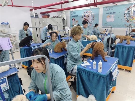 1755248803417394.jpg 699281be5b7da46e96455564a2cc343e_compress.jpg