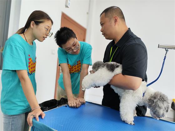 1755749882602714.jpg bf58da8264aa2dfc46ba2bd3917413b0.jpg