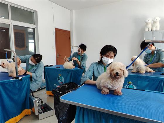 1755943314638822.jpg d090c10efcaf505539836f3f458be294.jpg