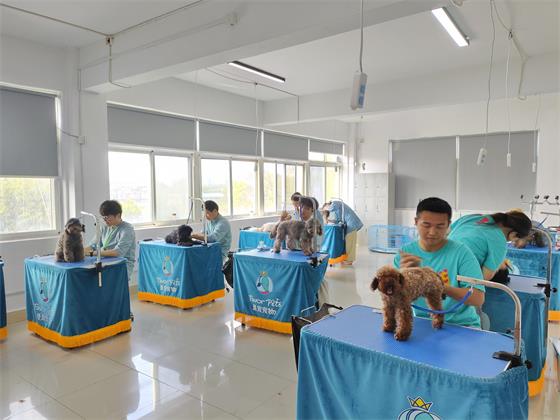 1757061968448304.jpg a6eb813dd9ace266bf348af5a3bef928.jpg