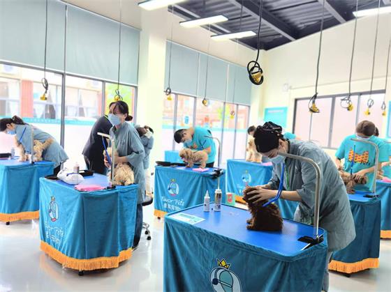 1758619474162355.jpg 919af6bacb77b4c417c730dd4dfad253_origin(1).jpg