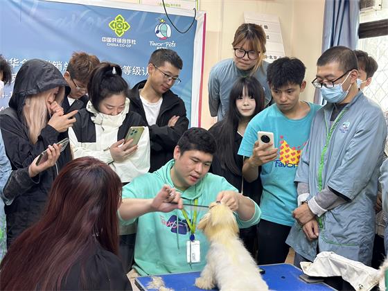 1760173852205861.jpg bf77a1b9-1acb-4e2a-9cd0-1a6f56123fe1.jpg