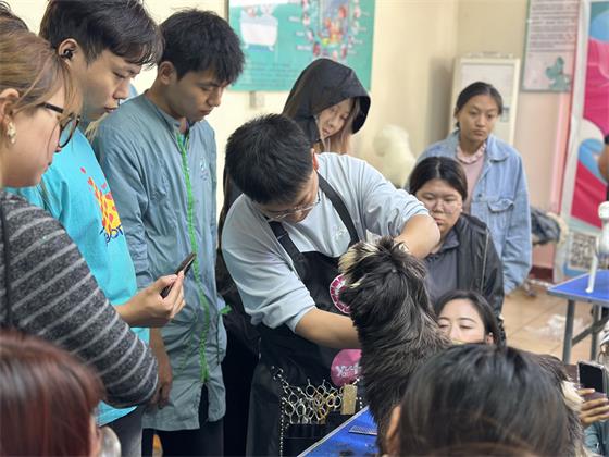 1760694564789662.jpg 51f4e6ee-2d34-4179-9224-4478689a190a.jpg