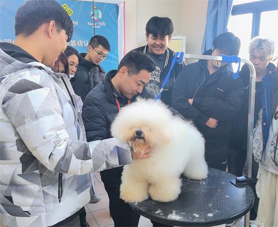 1763452659107357.jpg fc58bfab4882bcd89b7d80889f8dd3c9_origin(1)_看圖王.jpg