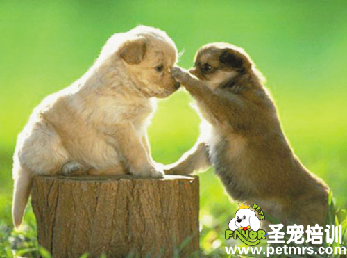 打你一下，你能怎么著