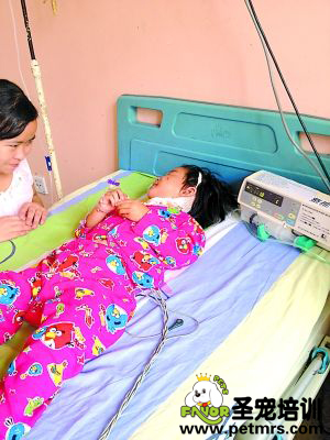 2歲女孩被狗咬