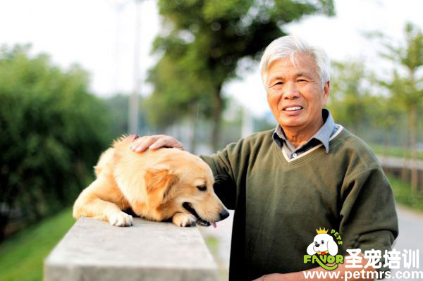 老人養(yǎng)寵需知