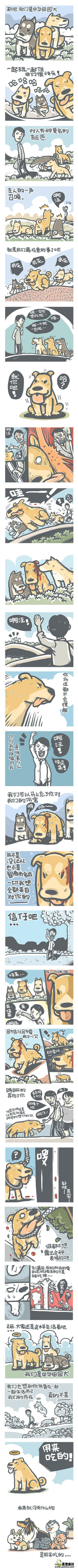 狗狗是人類的朋友