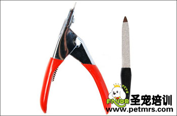 寵物美容工具