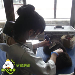 圣寵學校精彩課堂-工具使用