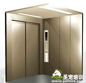 電梯成了狗狗的廁所