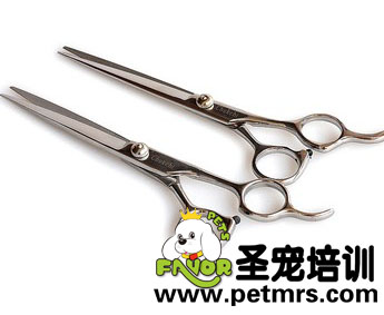 寵物美容剪刀直剪6.5寸