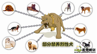 禁養犬類