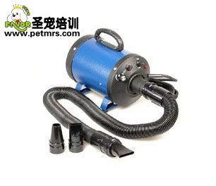 寵物吹水機