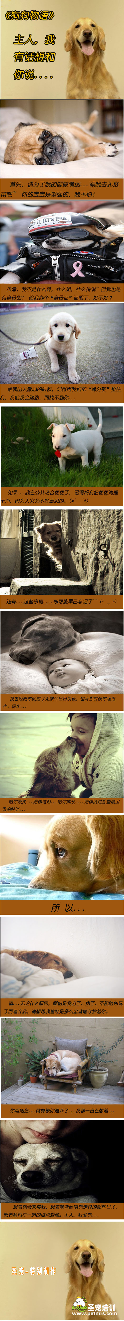 狗狗物語