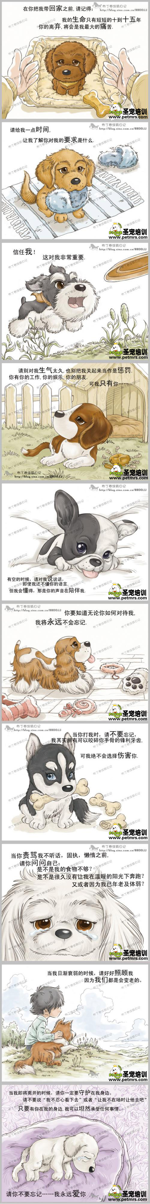 狗狗一輩子。看完我哭了