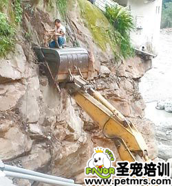 臺風蘇力肆虐 狗狗被困懸崖4天后被主人救回