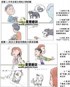 狗狗吃醋咬小孩
