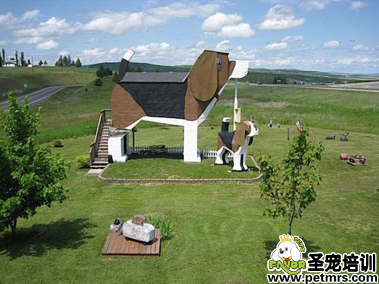 犬形旅館