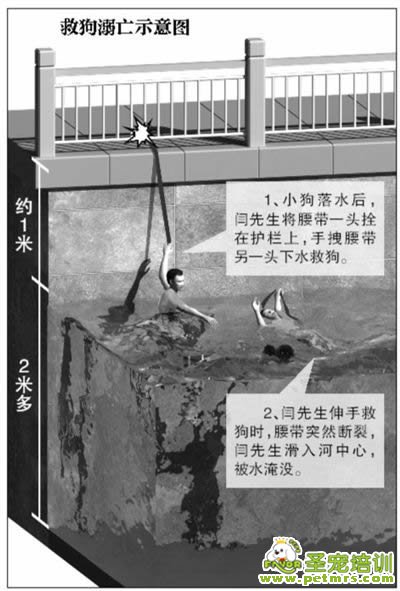 救狗溺亡示意圖