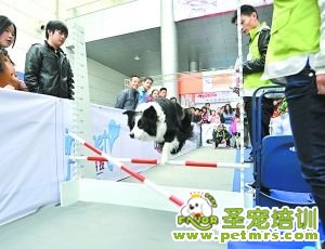 啊哦,碰桿了……
