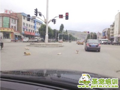 觸動心靈的時刻