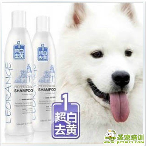 白毛寵物專用