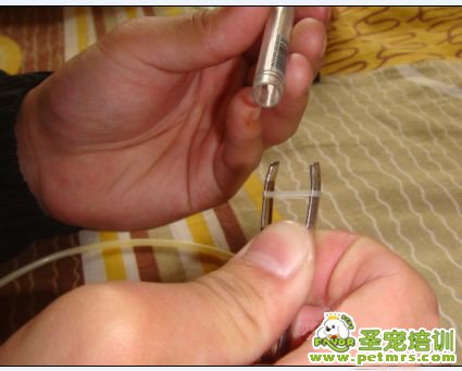 撐開后套在筆桿上