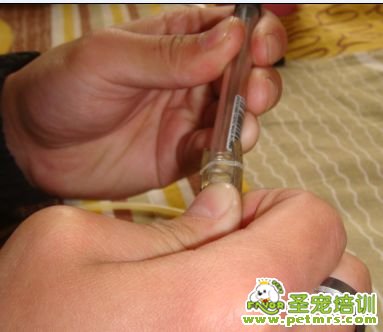 再把筆桿插進(jìn)尾巴里,尾巴長(zhǎng)度自己控制