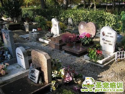 狗公墓