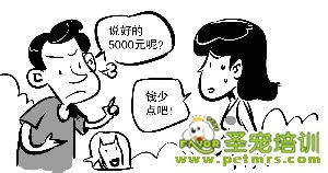 狗狗懸賞