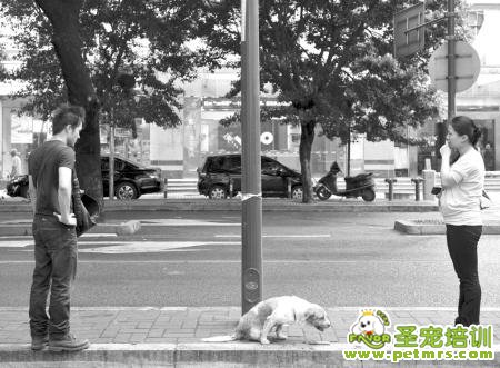 “只要你活著，我養你一輩子。”