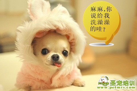 超有愛