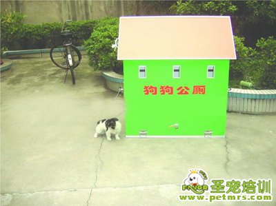 狗狗公廁
