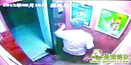 監控錄像