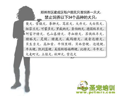 禁狗令