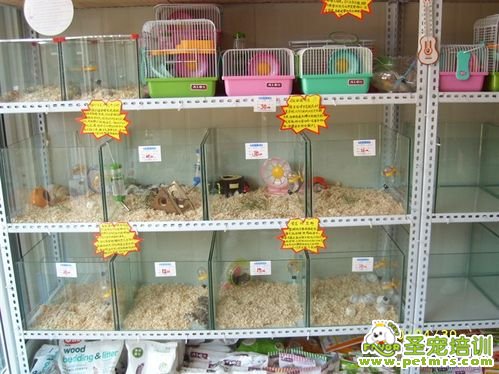 寵物店