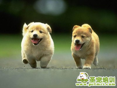 碳水化合物