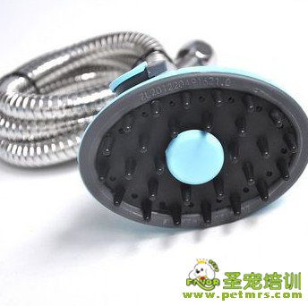 寵物美容工具