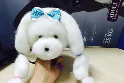 狗狗良好的情操