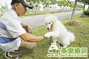學會尊重他人