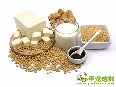 營養(yǎng)物質(zhì)