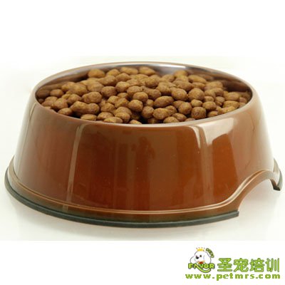 狗狗食盆